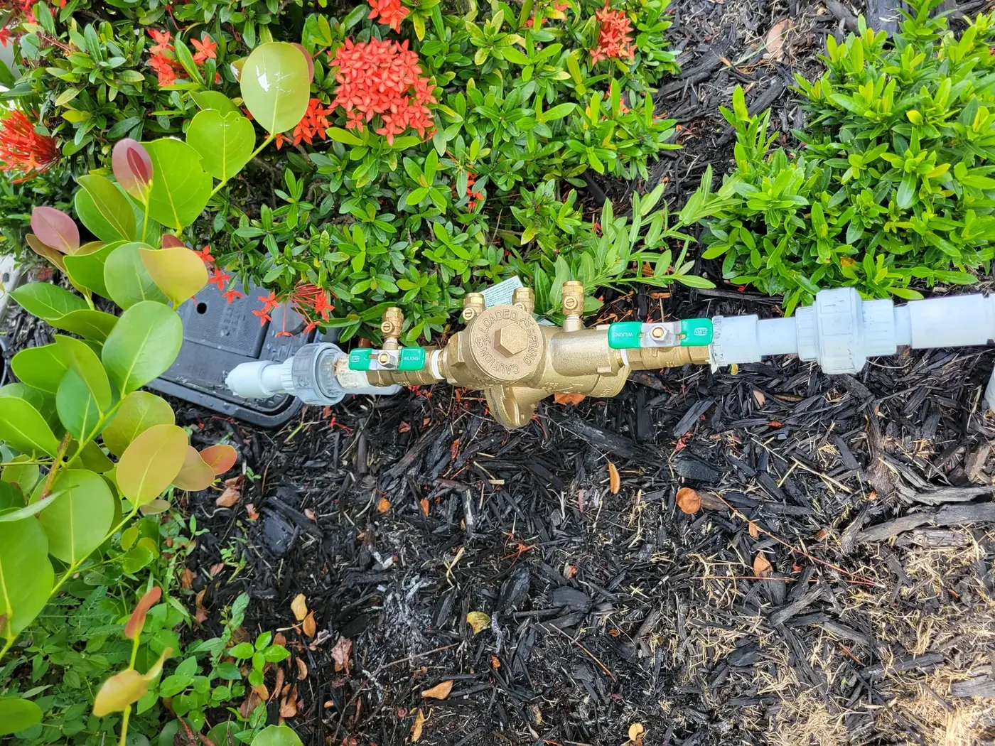 Backflow prevention assembly installed in a landscaped area