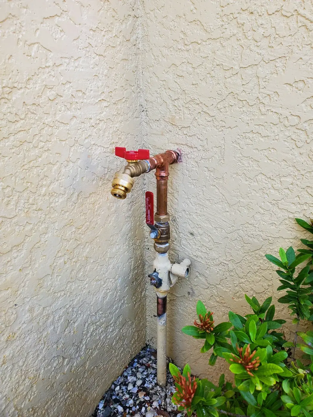 Exterior backflow prevention assembly